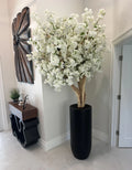 Édition Chamonix, blanc mat