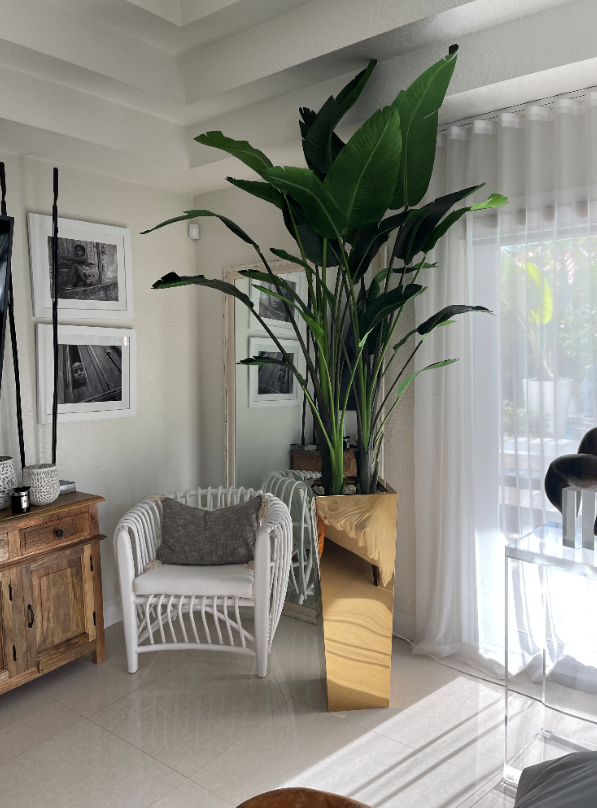 Oiseau de Paradis | Signature Loire, doré