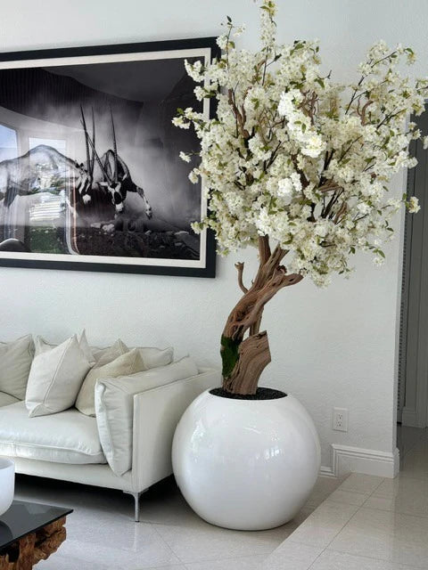 Collection Aquitaine, blanc brillant