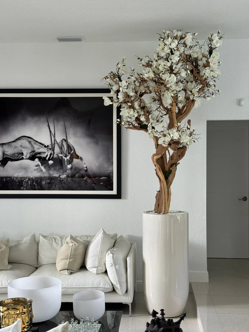 Composition Magnolia · Édition Ardennes, blanc brillant