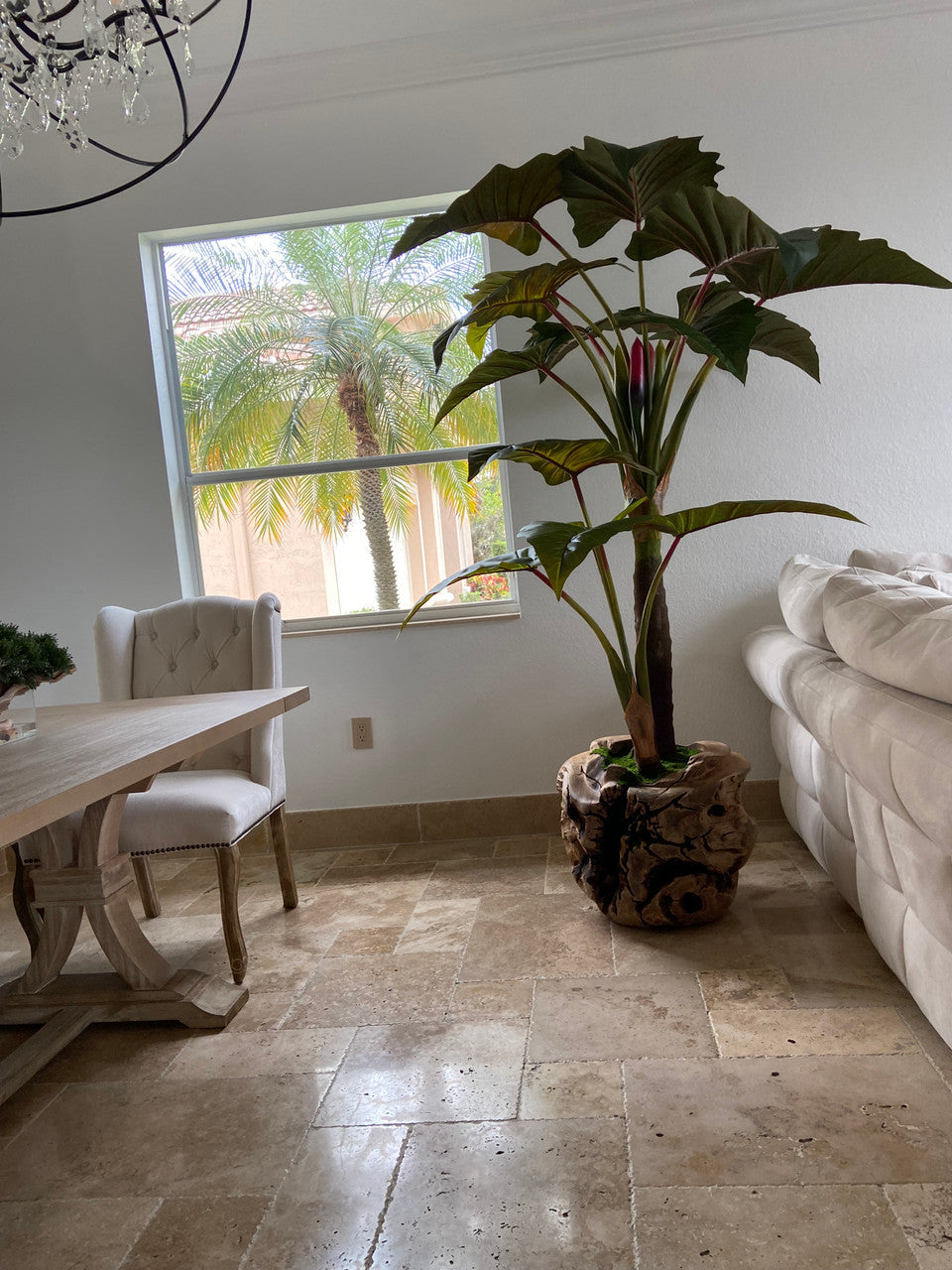 Plante Tropicale XXL — Collection Aquitaine