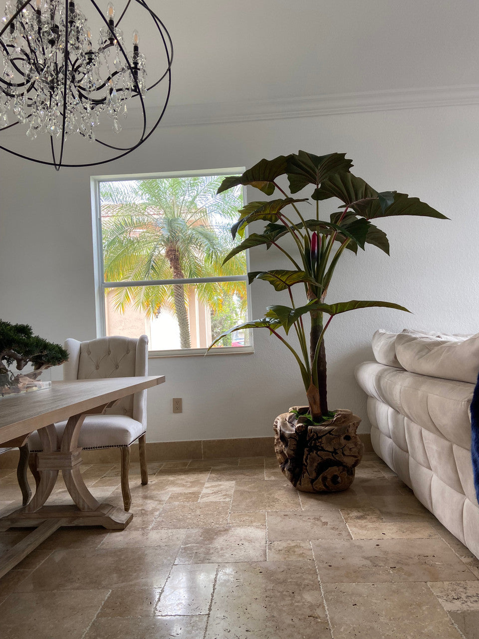Plante Tropicale XXL — Collection Aquitaine
