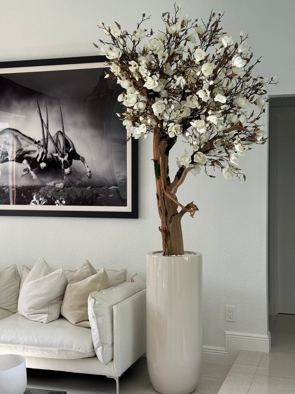 Composition Magnolia · Édition Bordeaux, beige brillant