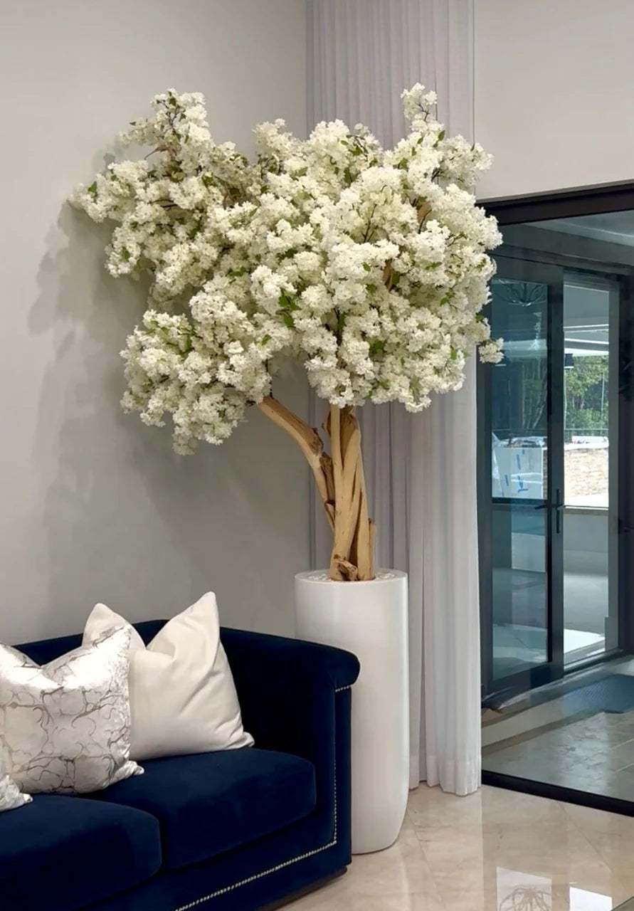 Cerisier en Fleurs