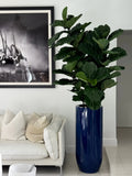 Figuier Lyre | Signature Riviera, bleu brillant