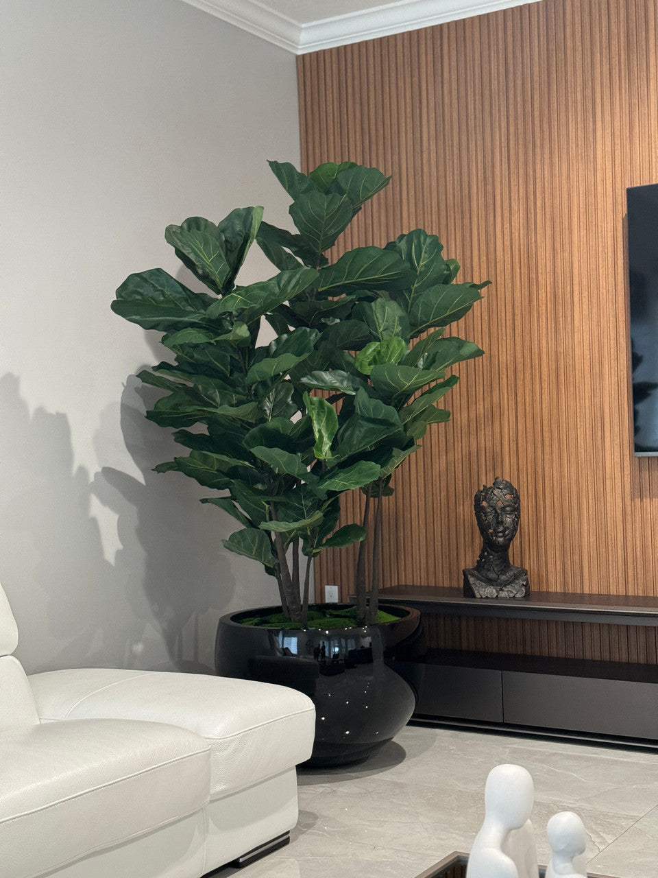 Figuier Lyre — Collection Cannes, noir