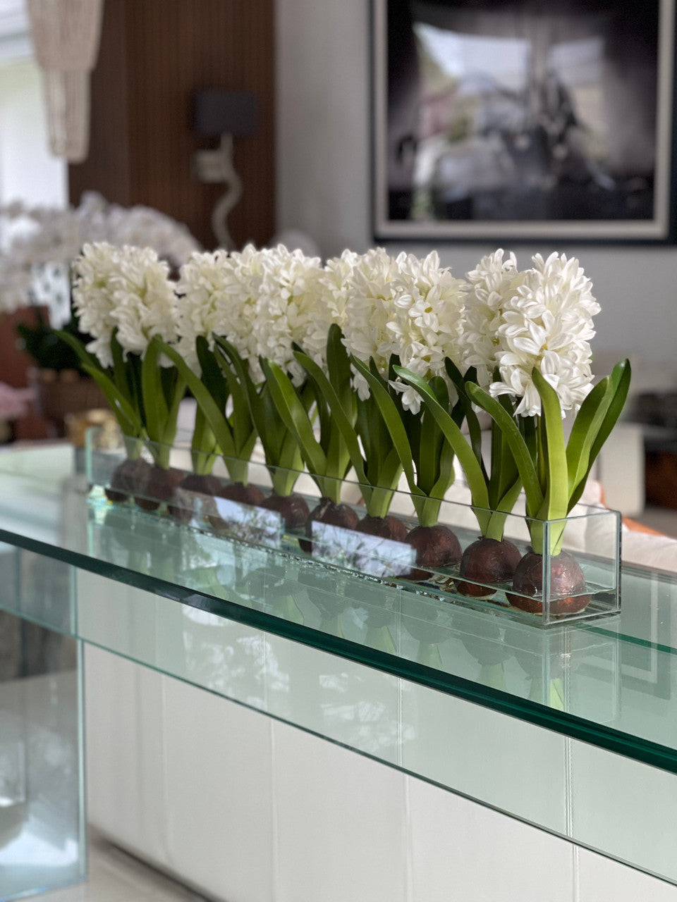Composition Jacinthes 91 cm | Signature Menton, blanc