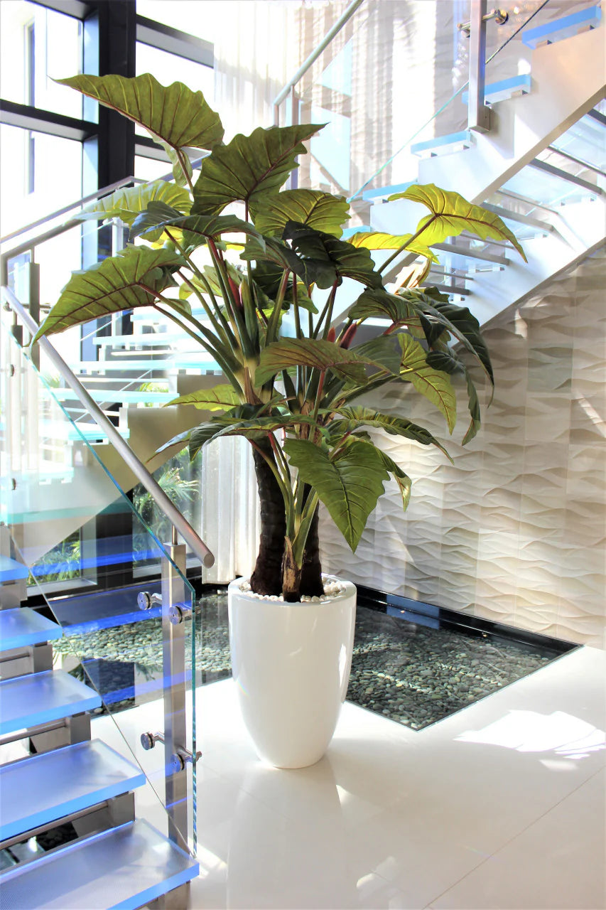Collection Anjou, blanc brillant