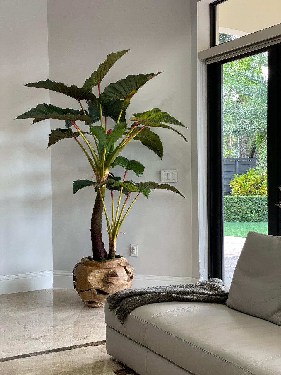 Plante Tropicale XXL — Collection Aquitaine
