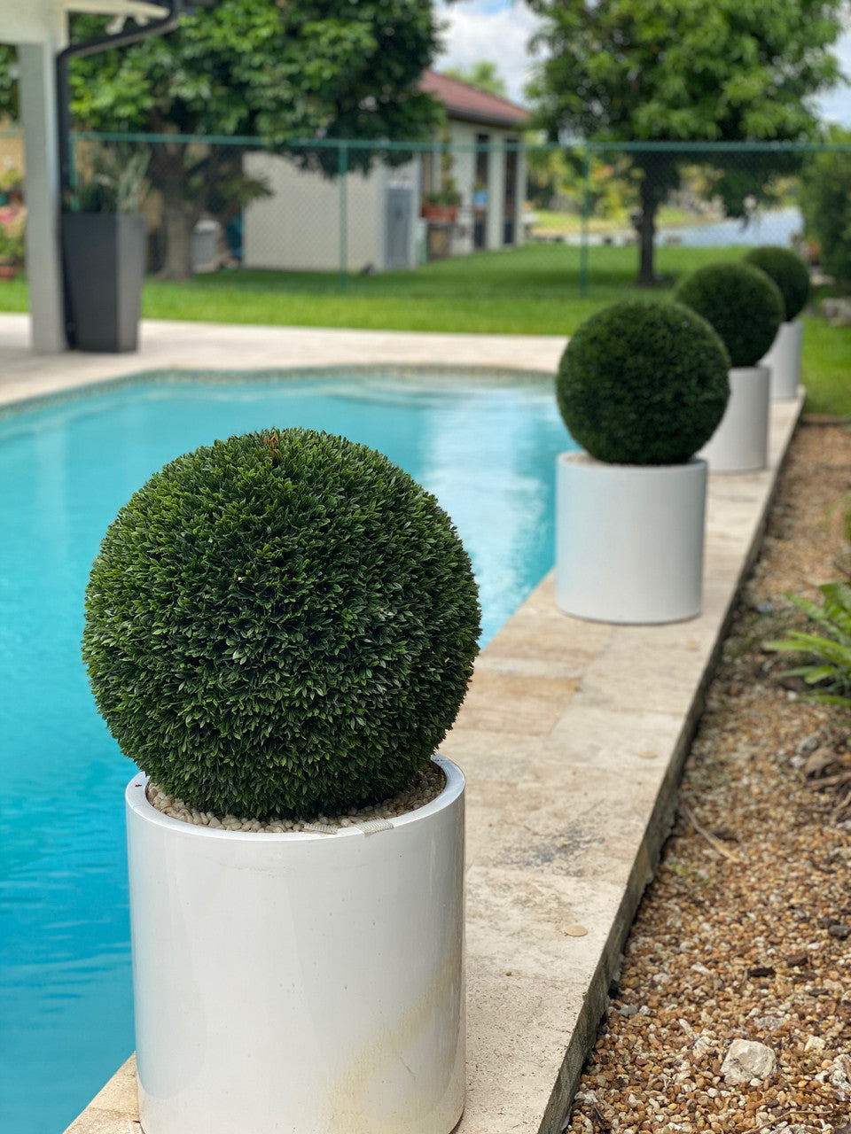 Cache-pot Décoratif  · Édition Bourgogne