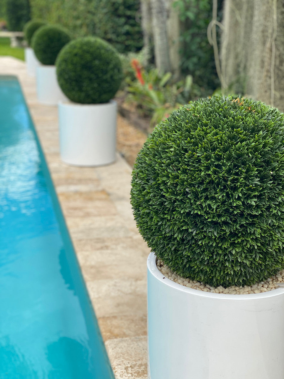 Cache-pot Décoratif  · Édition Bourgogne