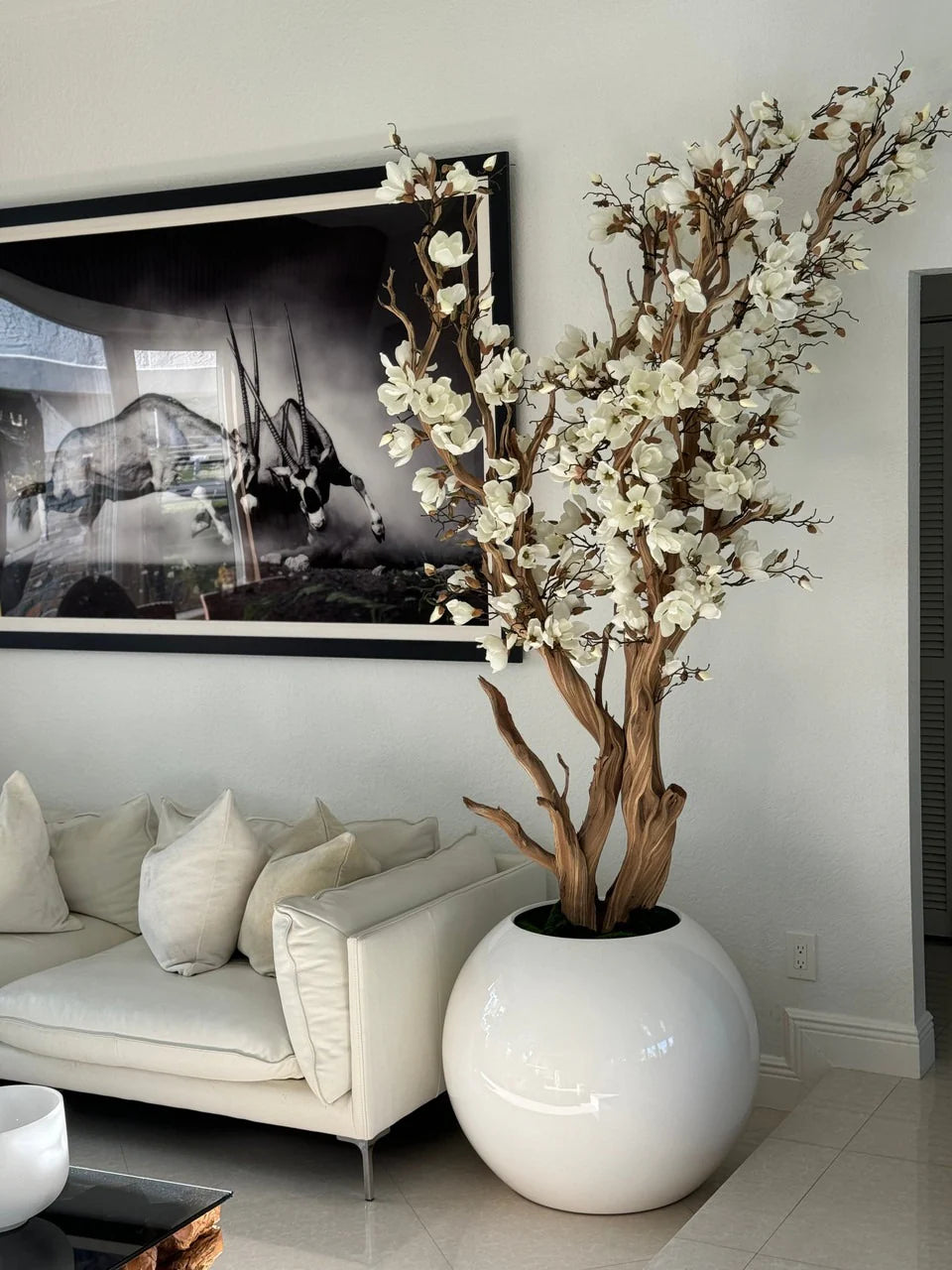 Composition Magnolia| Signature Cannes, blanc brillant