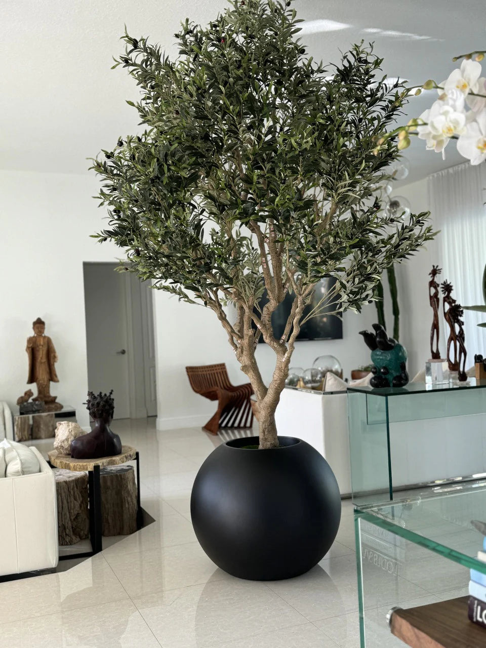 Olivier 76 cm | Signature Camargue, noir mat