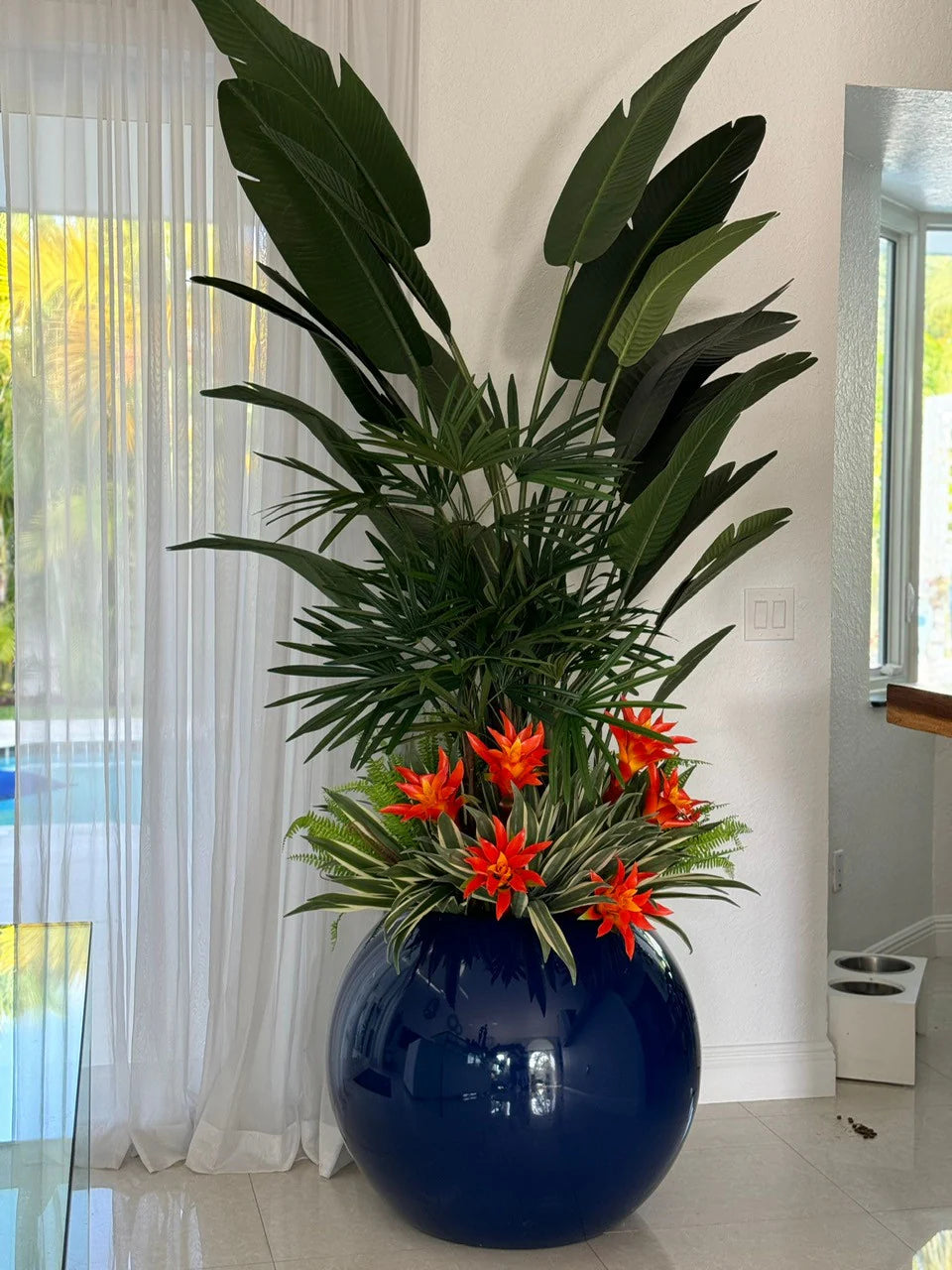 Oiseau de Paradis · Édition Riviera, bleu
